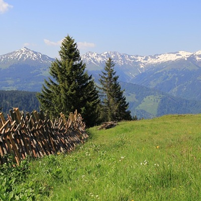 토지이용계획확인원 무료열람