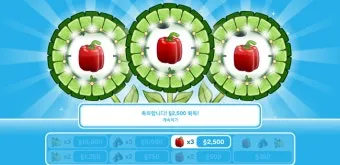 피망 재배 파종 시기 지주 설치 통풍 확보 병해 예방_7