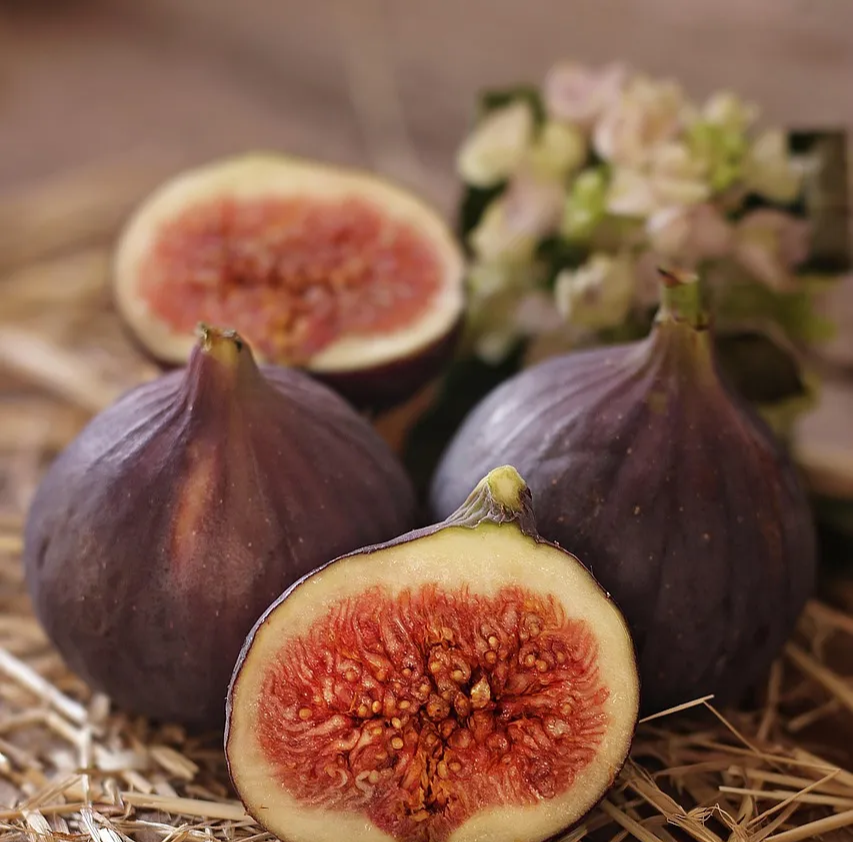 무화과