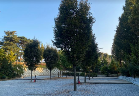 파이브이모션 캠핑장 K존