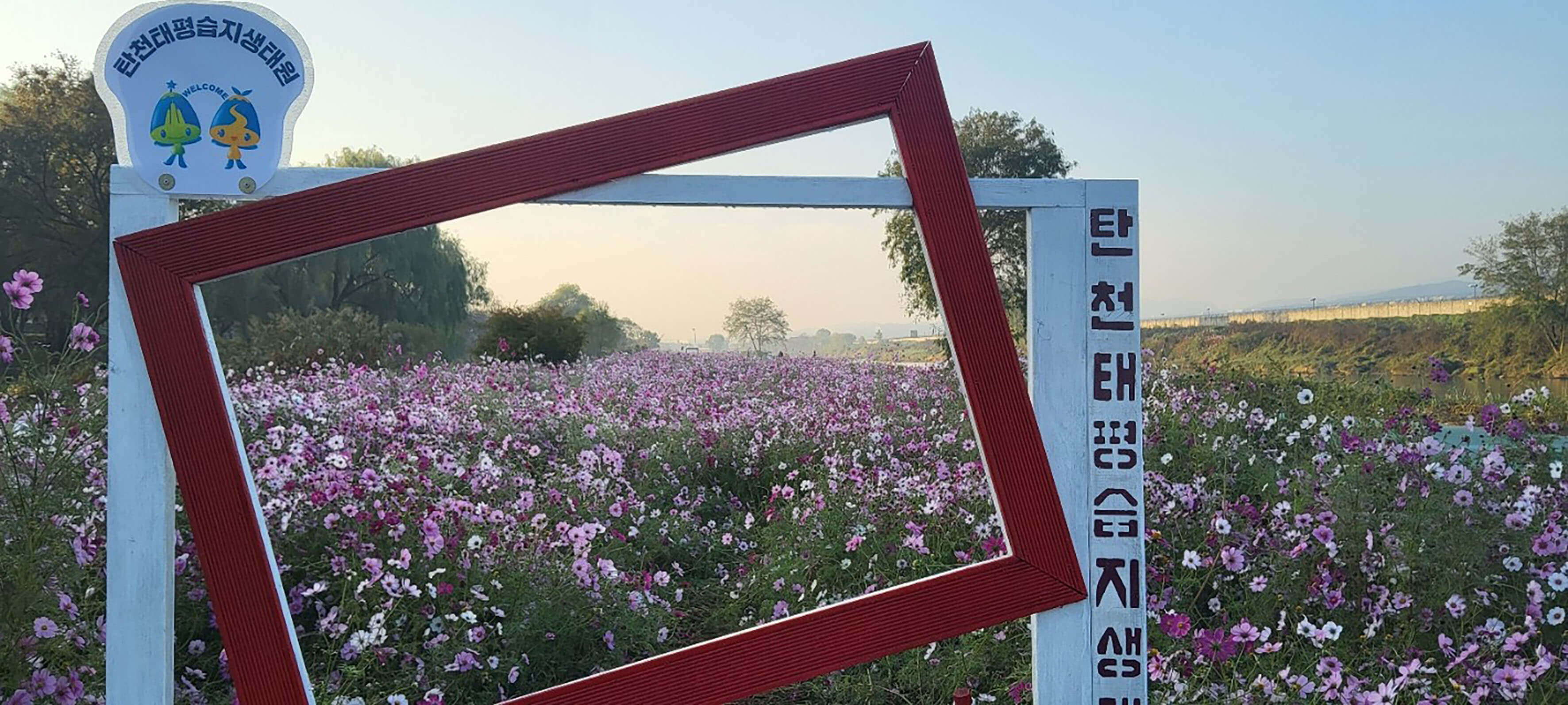 반려견과 함께 떠나는 분당·판교 가을산책 단풍명소 추천 : 탄천산책로·율동공원·판교생태공원