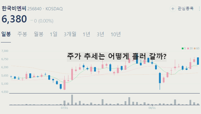 비만 치료제 관련주 대장주 TOP10