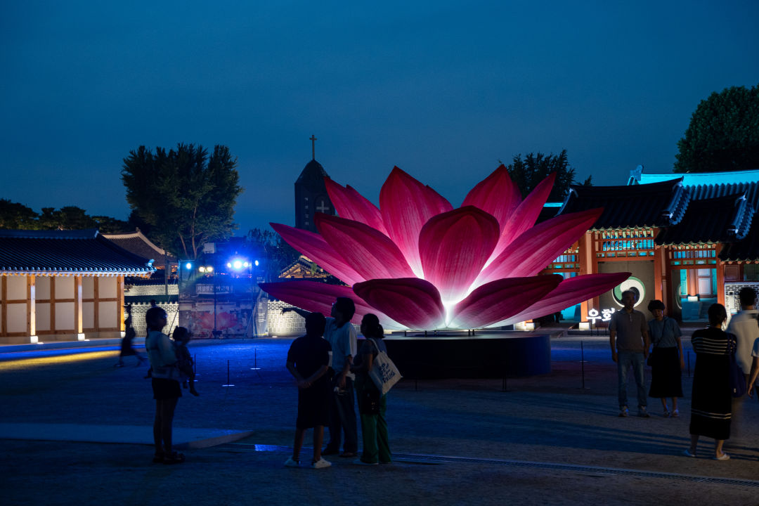 수원 화성행궁 연꽃