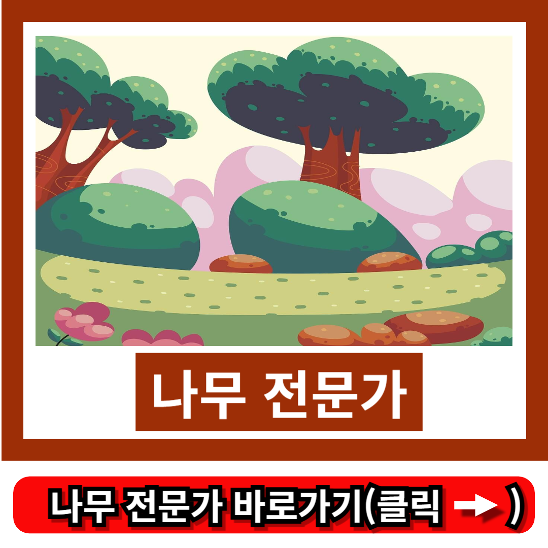 바위솔