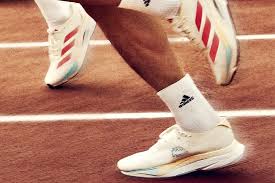 2026 새해일출런 대회 신청부터 일정 코스 총정리