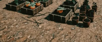 디카스트 데이즈