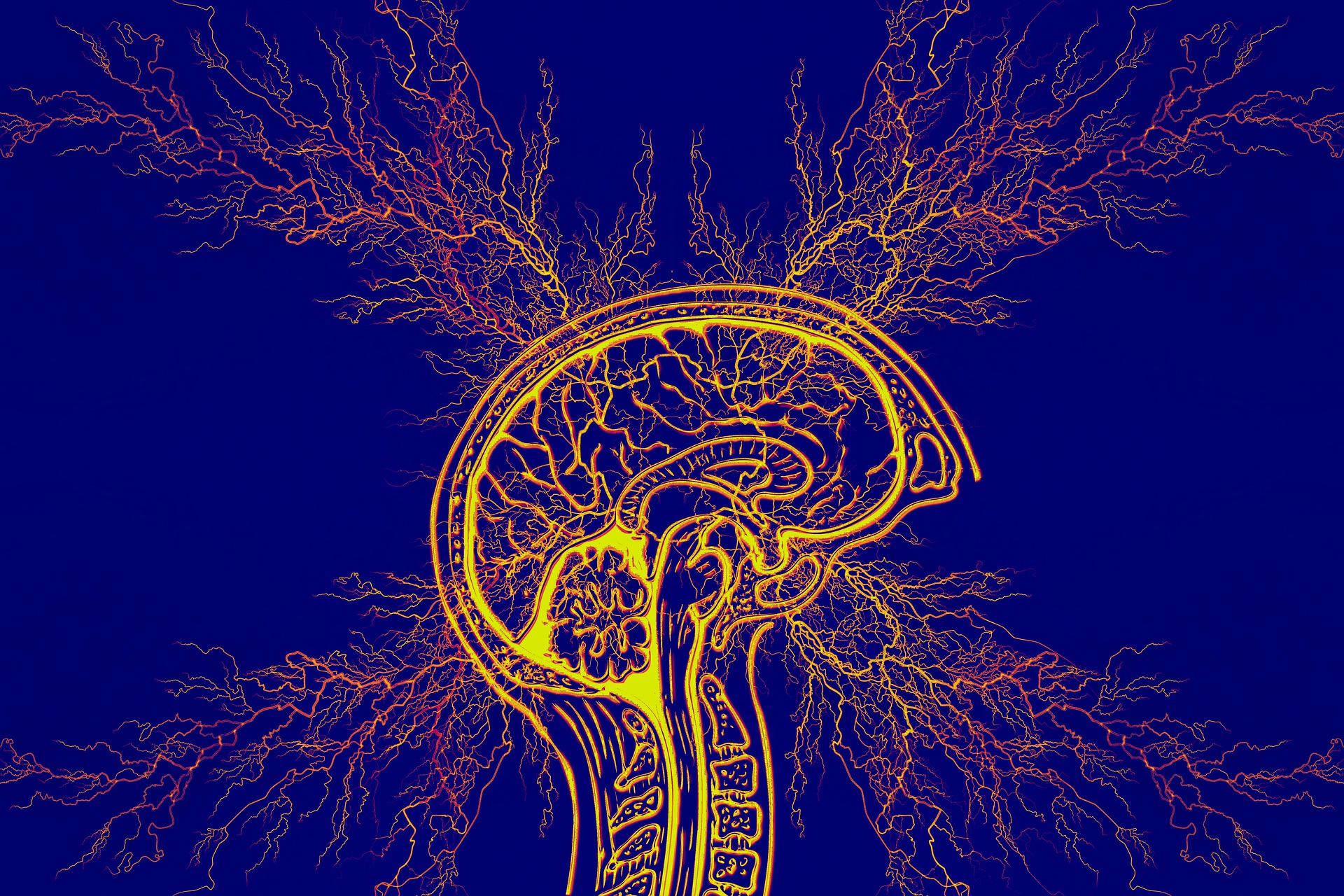 뮌하우젠 증후군 정의