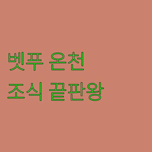 벳푸 숙소 추천 온천과 조식이 훌륭한..