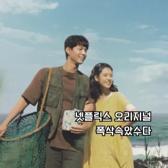 폭삭 속았수다 뜻과 실제 사용 예시_4