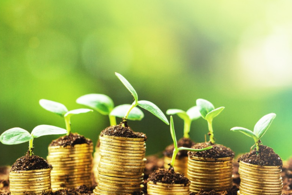 동전들 위로 새싹이 자라있다.