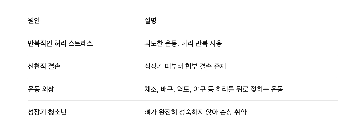 원인 및 위험 요인