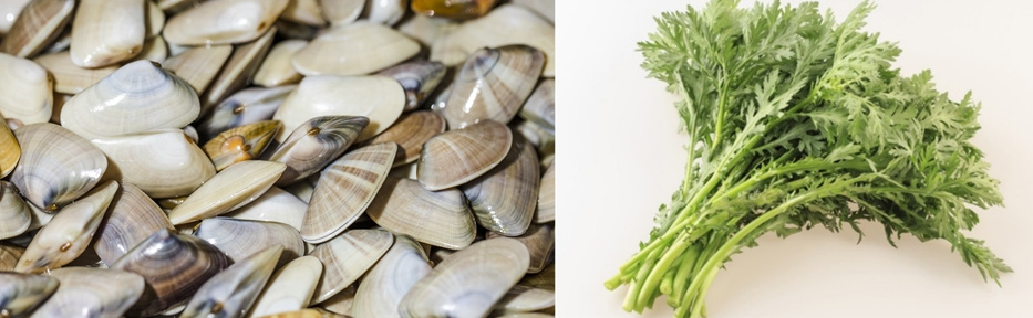 왼쪽 사진은 바다에서 채취를 한 조개를 깨끗이 씻은 후에 수북하게 쌓아두고 찍은 사진이고, 오른쪽은 야생에서 채취를 한 쑥갓을 잘 세척한 후에 한다발을 하얀 바닥 위에 두고 찍은 사진