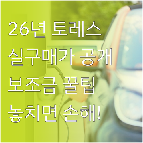 2026년 토레스 EVX 20인치 실..