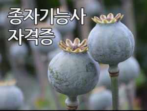 종자기능사