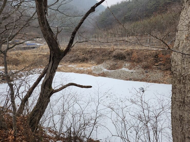 등산로-강