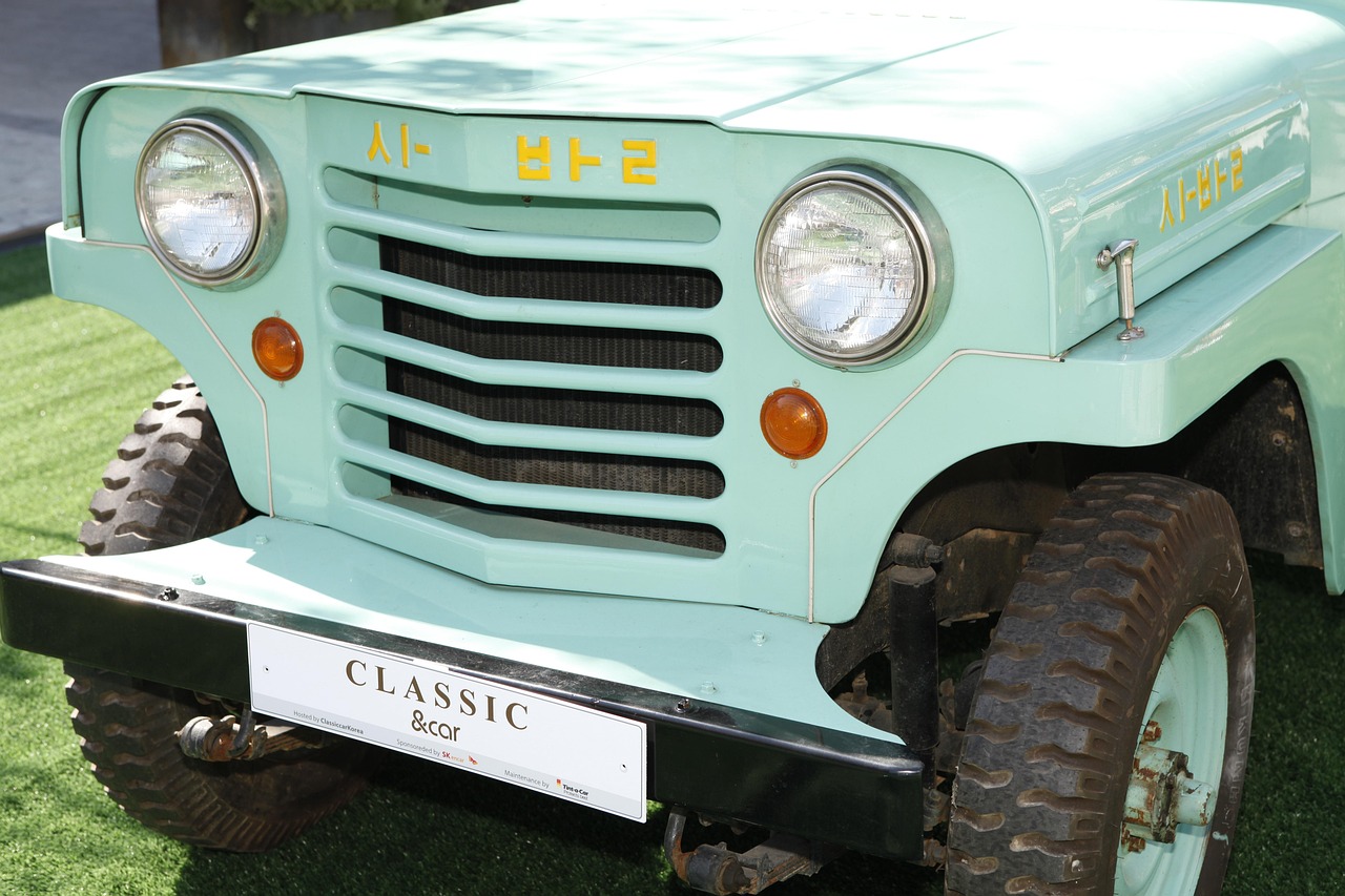 한국차 유럽진출 현황 (수출, 정책, 브랜드)