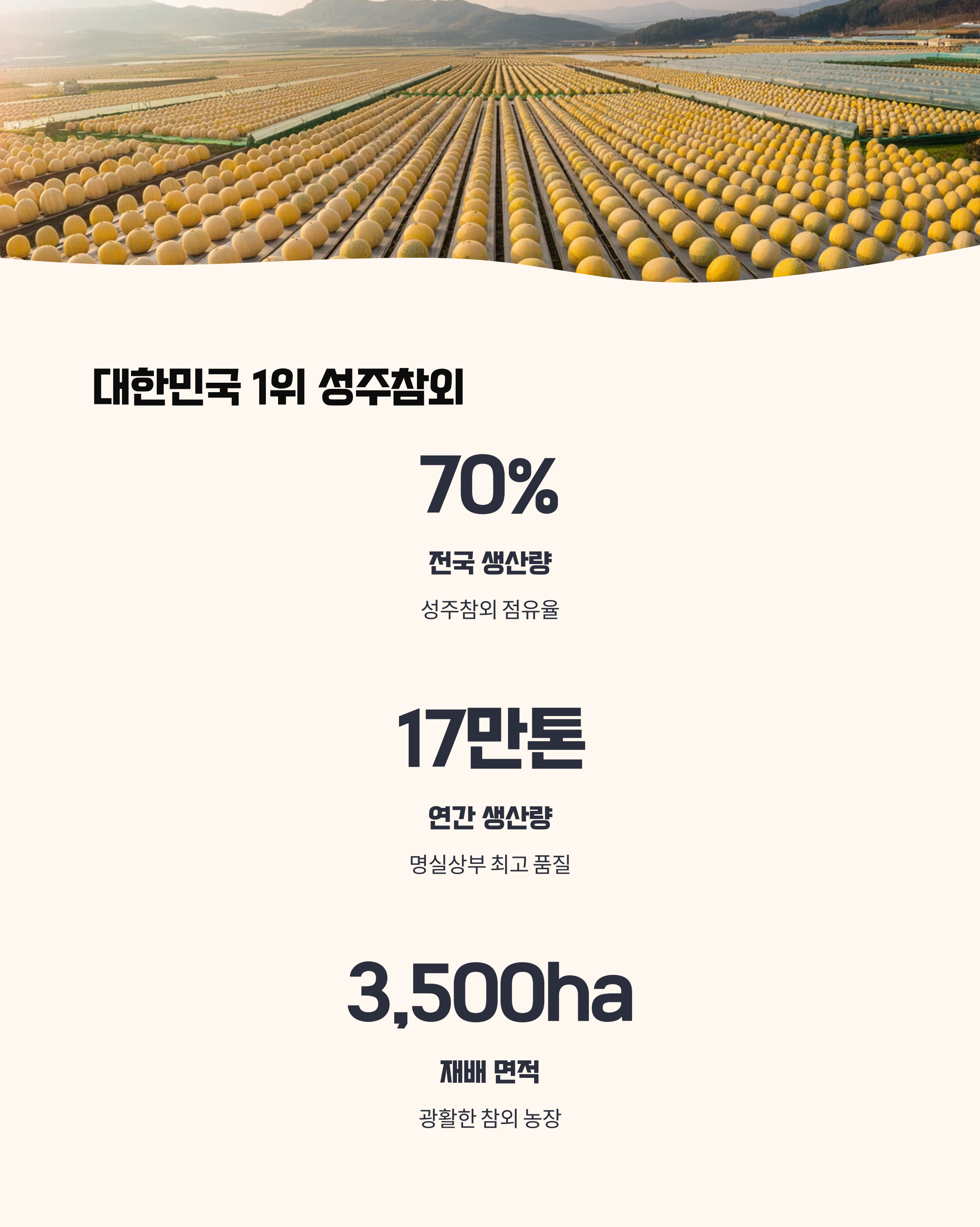 성주참외의 위상과 의미