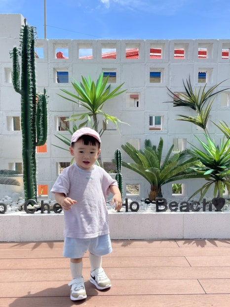 속초 바다뷰 맛집 카페