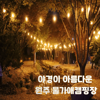 강원도 경기도 계곡 캠핑장 BEST 11