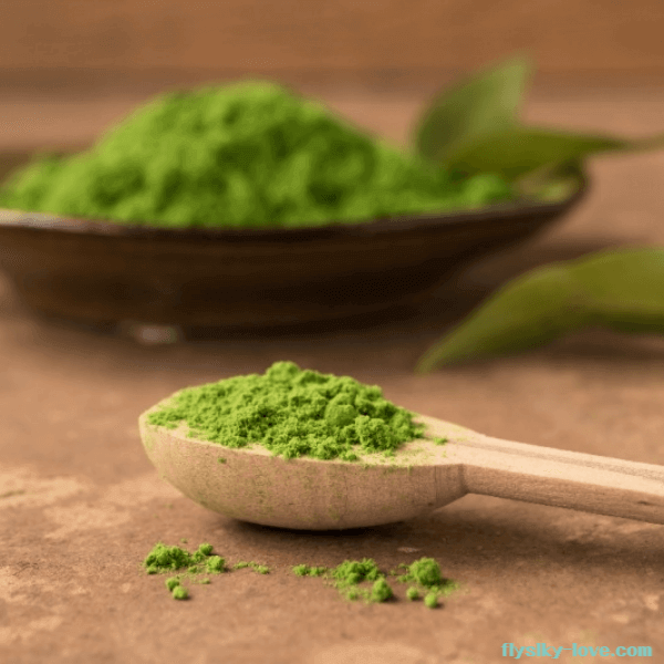 자연이 준 건강한 슈퍼푸드 말차