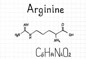 아르기닌 부작용, 아르기닌의 효능, 복용법 총정리 (2025ver)