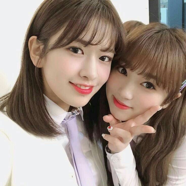 아이즈원 프로듀스48 사진 모음 아이즈원 프로듀스48 사진 모음