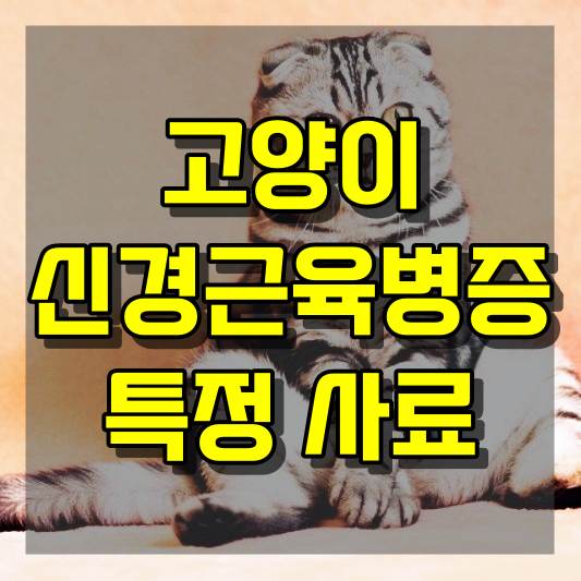 고양이 신경근육병증 특정 사료