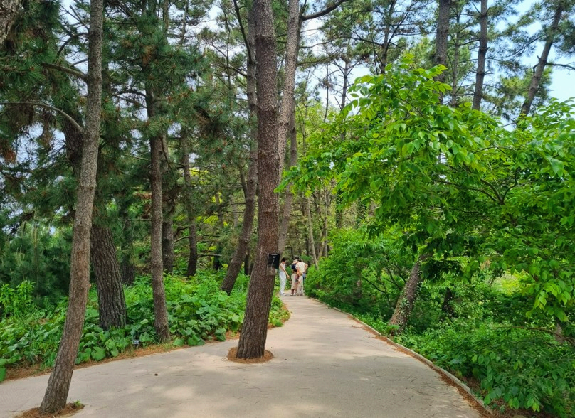 천리포수목원-숲길2