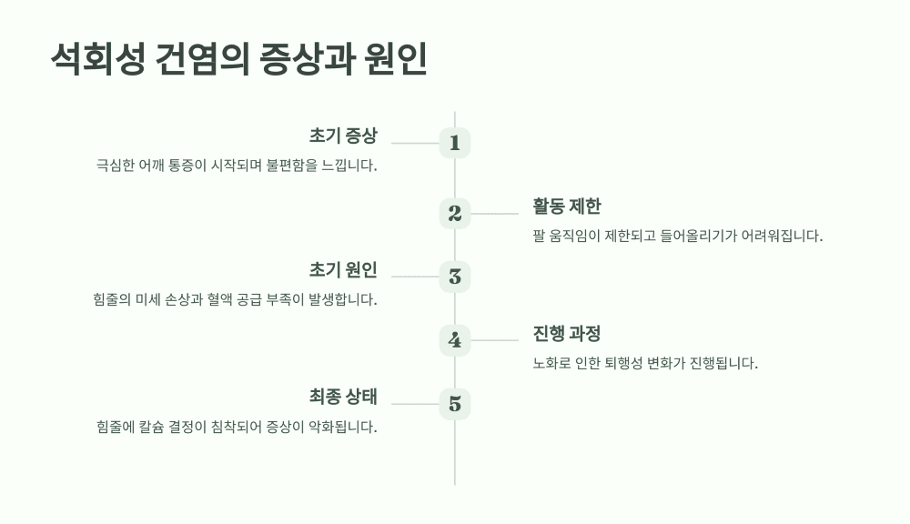 석회성 건염의 증상과 병리학적 원인들