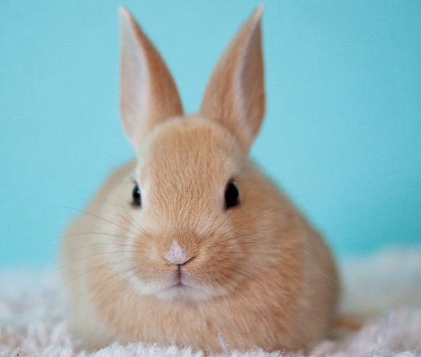 오늘의 운세 2023년 10월 25일