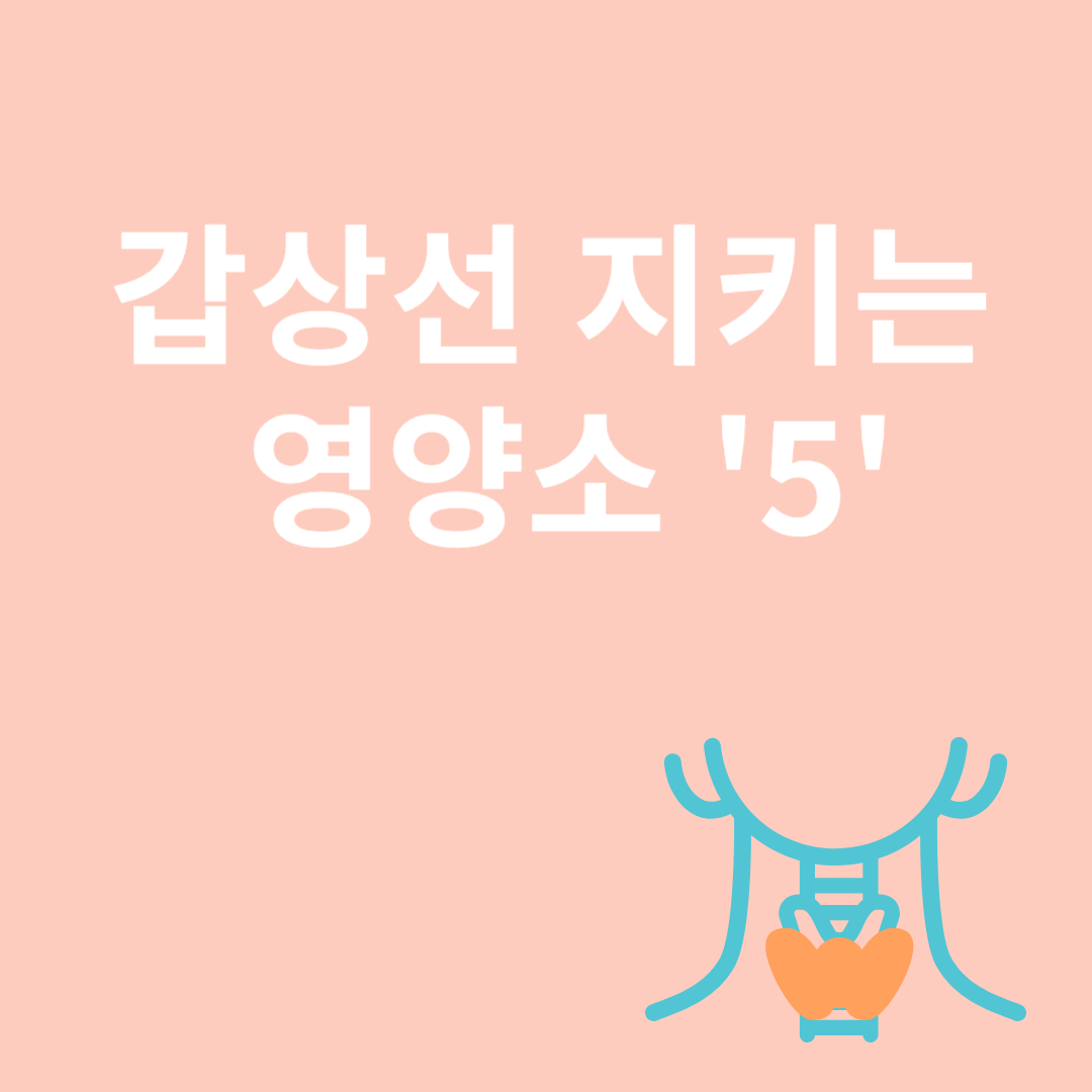 갑상선과 관련된 이미지