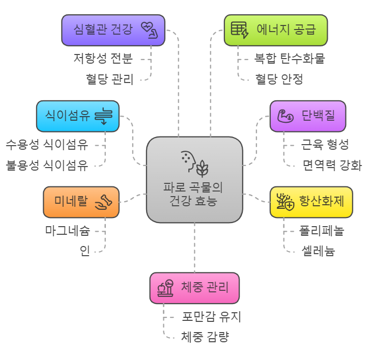 파로 곡물 효능