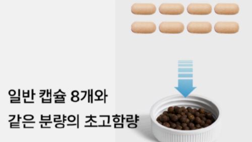 심플리커
