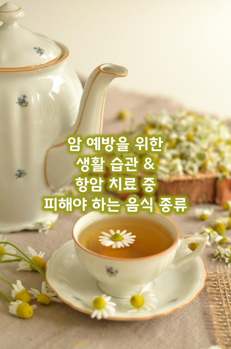 암예방을위한음식