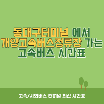 동대구터미널에서 개양고속버스정류장 가는 고속버스 시간표 최신정보