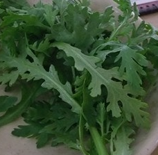 쑥갓의 효능 부작용 고르는법 칼로리 꽃