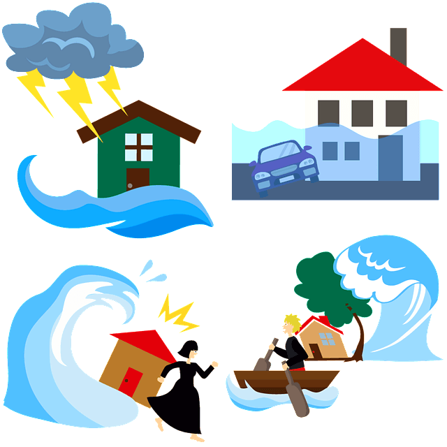 다양한 태풍피해 상황