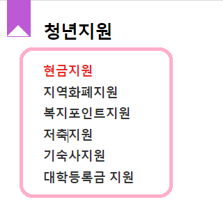 청년 지원금