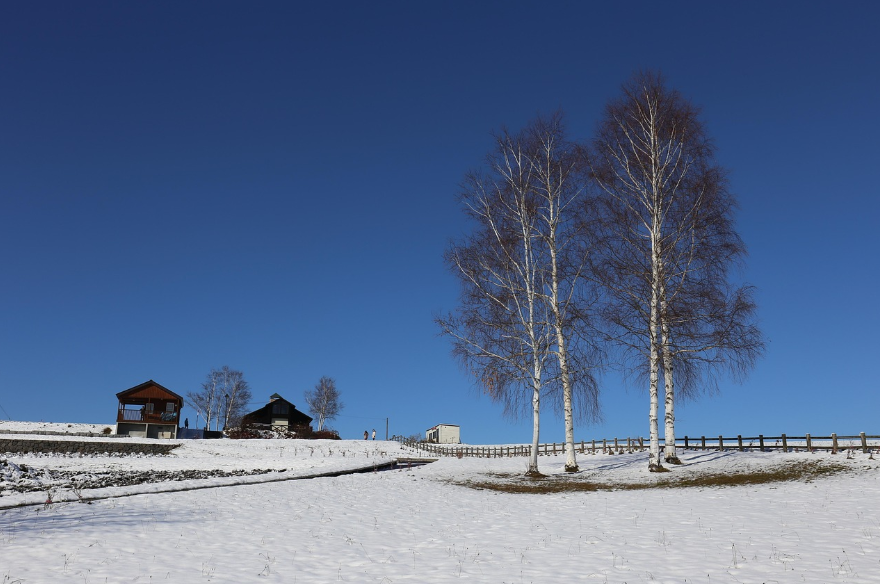 겨울 훗카이도 미식여행 - 게요리, 스프카레, 라멘의 진심