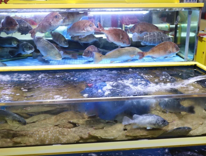 마포농수산물시장