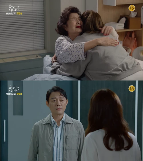 효심이네-각자도생-남성진-캡처