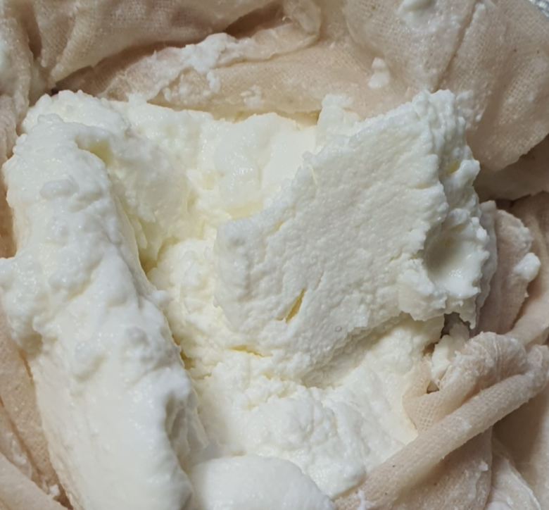 유청 분리 중인 밥솥 요거트