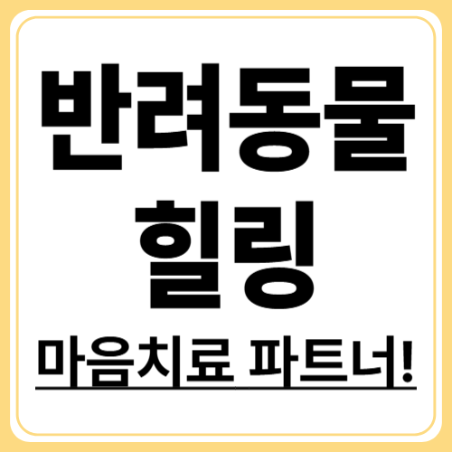 반려동물과 함께하는 힐링 타임! 스트레스 해소에 효과적인 이유