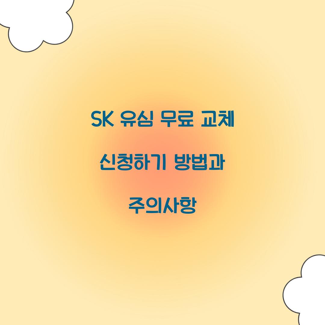 sk 유심 무료 교체