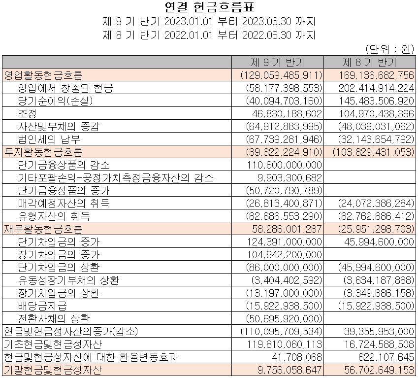심텍 - 현금흐름표
