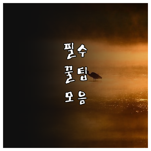 2025년 안양시 통장 지원책 단체상..