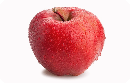 골다공증에-좋은-음식