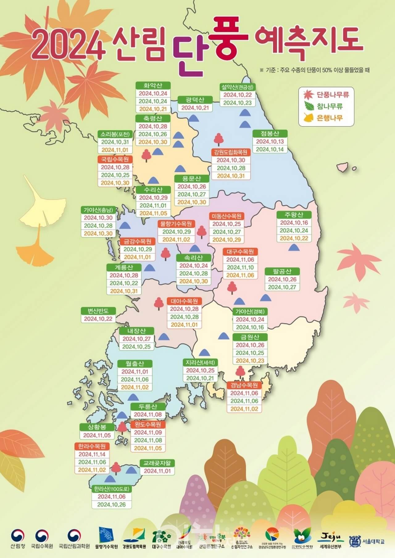 2024 단풍 절정 시기