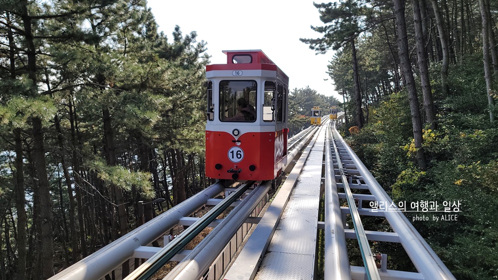 블루라인파크 스카이캡슐 아름다운 뷰