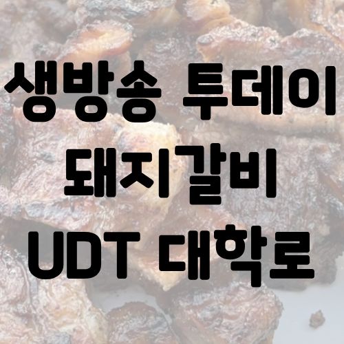 생방송 투데이 대학로 돼지갈비 UDT